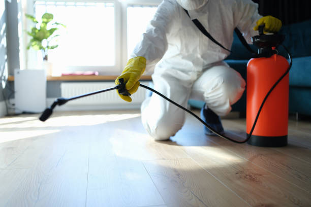 Reliable Infectious Disease Decontamination contractor in El Granada, CA by Crime Scene Cleaner Online